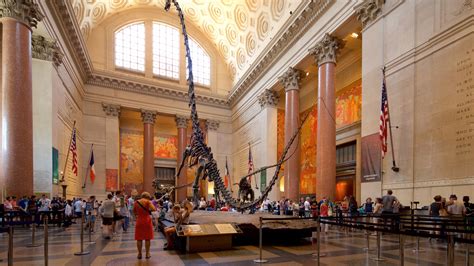 hotels near american museum of natural history